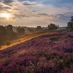 & Landgasthof Hoheluft