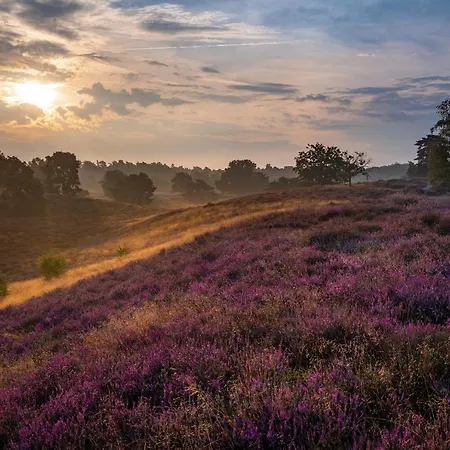 & Landgasthof Hoheluft