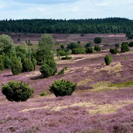 Отель & Landgasthof Hoheluft *