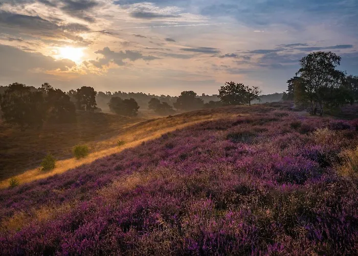 & Landgasthof Hoheluft